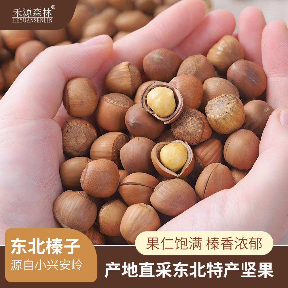 禾源森林品牌东北伊春特产小榛子500克/袋装半开口皮薄果仁饱满