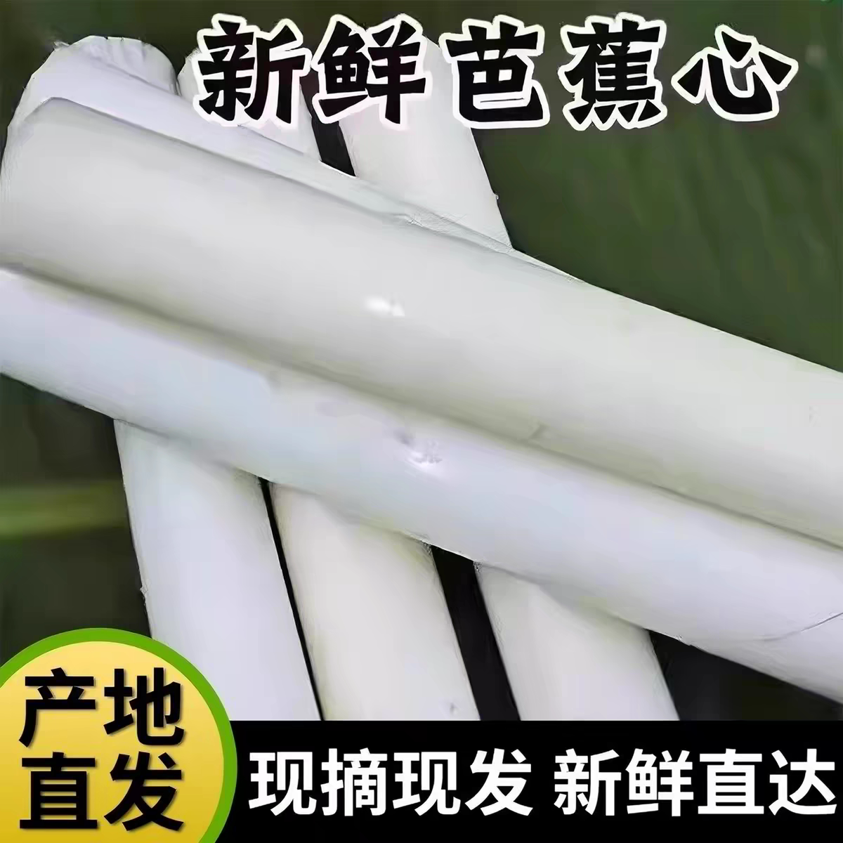 现摘实心拉丝芭蕉芯天然芭蕉心芭蕉心香蕉杆茎心蕉茎干吃播同款