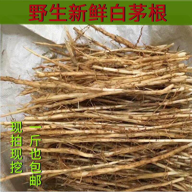 纯天然野生新鲜白茅根 湖南山区现挖茅草根 中草毛草根凉茶包邮
