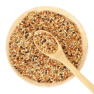 宠儿新家虎皮鹦鹉混合鸟粮牡丹玄凤中小型鹦鹉鸟食饲料五色黍子