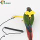 鹦鹉放飞绳飞行绳虎皮牡丹玄风鸟用鹦鹉外出溜鸟训练绳背带牵引绳