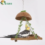 Дорогая новый дом кокосовый и птичий гнездо гнездосец