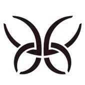 爆款 精华水60ml