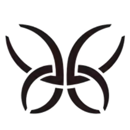 爆款精华水60ml