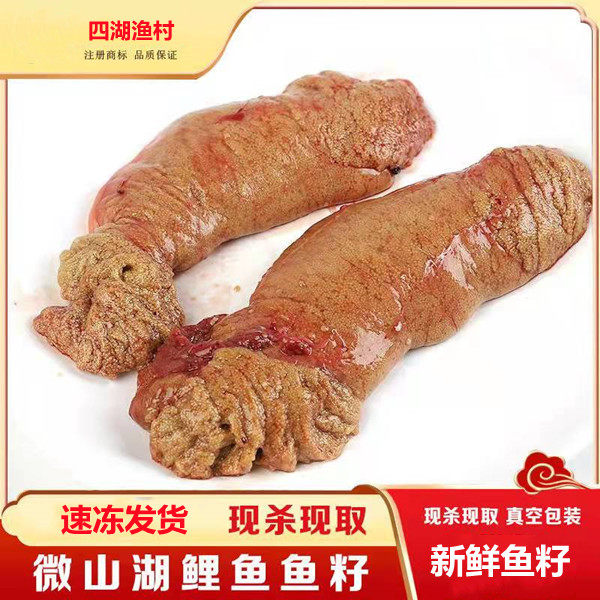新鲜鲤鱼鱼籽现杀现取速冻发货