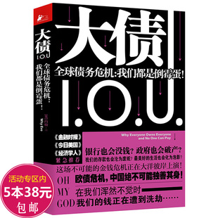 经济常识解读寻找金融 大债：债务危机我们都是倒霉蛋 解释一看就懂 金融常识债务危机我 应对原则书