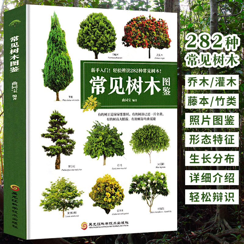 常见树木图鉴 新手入门轻松辨识生活中的常见树木大自然植物乔木灌木藤本竹类植物识别图鉴盆栽园林植物自然百科普全书书籍
