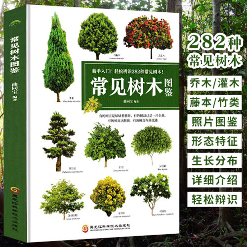 常见树木图鉴 新手入门轻松辨识生活中的常见树木大自然植物乔木灌木藤本竹类植物识别图鉴盆栽园林植物自然百科普全书书籍