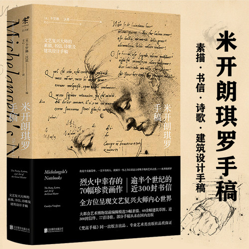 米开朗琪罗手稿 卡罗琳沃恩著西方艺术大师文艺复兴三杰之一米开朗基罗绘画手稿与教皇的天花板鉴赏书籍