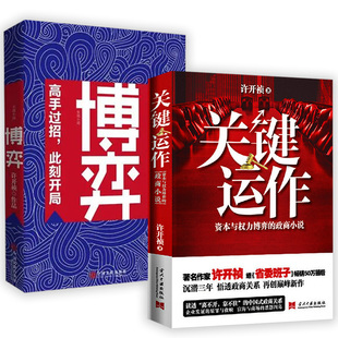 许开祯著书籍 关键运作：资本与权力博弈 博弈 政商小说 2册