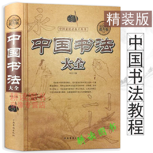 中国书法大全 中国书法一本通入门中国书法简史书法大字典书法有法给你讲书法史如何看懂书法汉字书法之美教程书