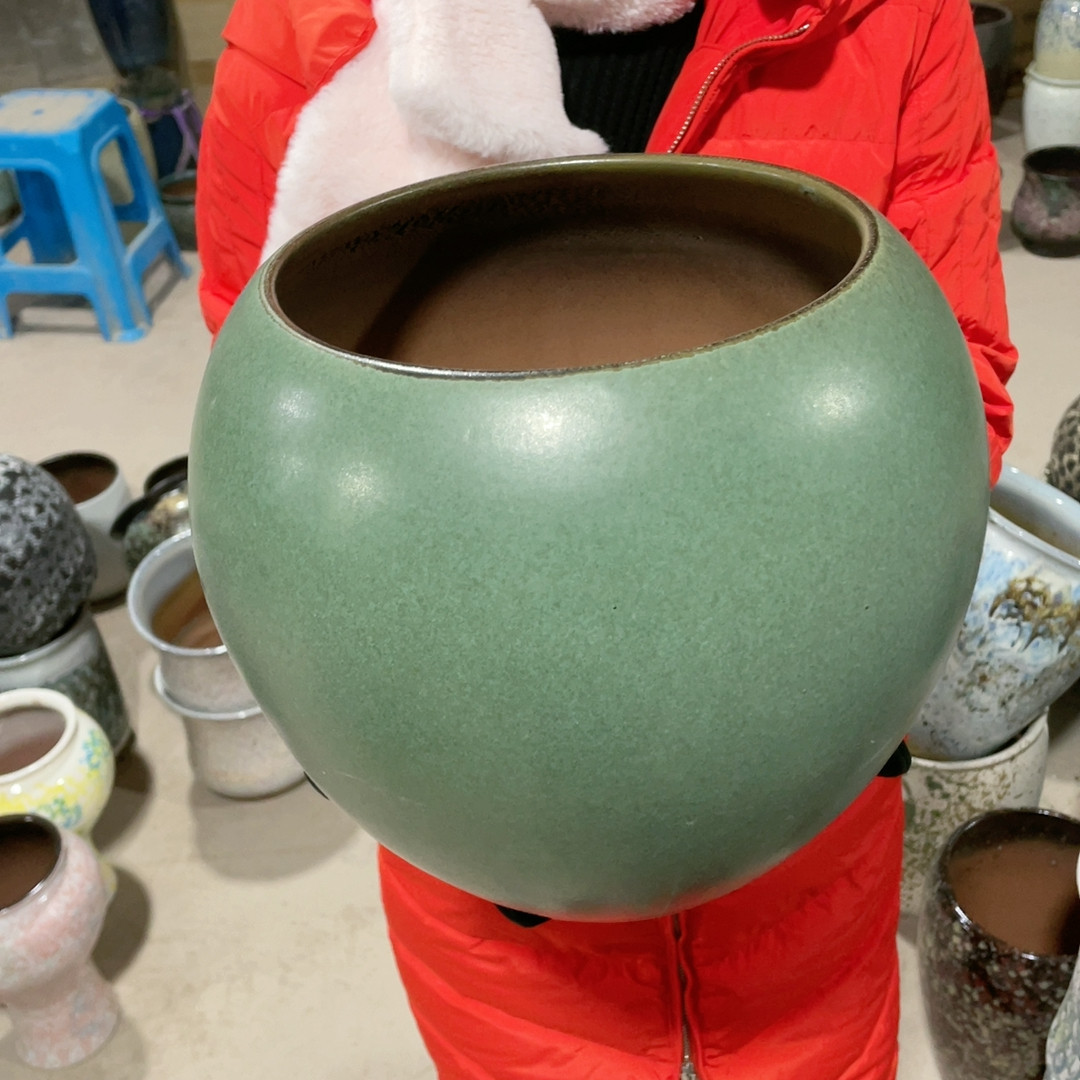 1923,鲜花速递/花卉仿真/绿植园艺,花架,淘宝优惠券,粉丝福利购,淘宝优惠卷