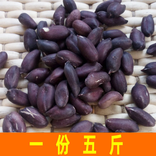黑花生米2500g包邮花生米