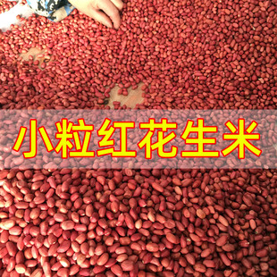 红衣花生米2025红皮生花生仁四粒红花生 小粒生花生米 包邮