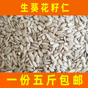 生瓜子仁 生葵瓜子仁 无壳 葵花籽仁粒大饱满一份5斤包邮