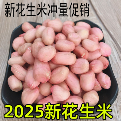 生新去壳白沙品种花生米