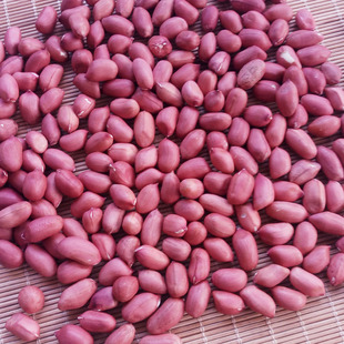 生红皮生花生米小粒生花生仁 四粒红生花生红衣花生五斤包邮