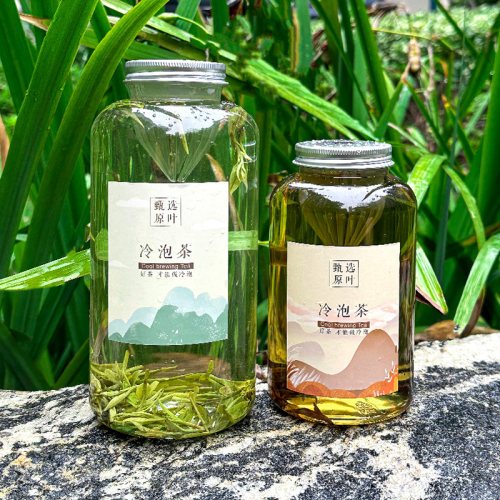 冷泡茶瓶奈雪冷萃茶瓶带滤网