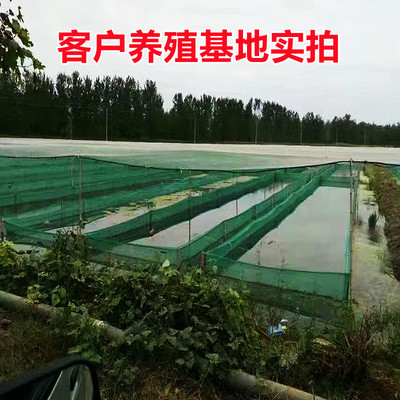 赶埠防逃鱼虾蟹箱黄鳝泥鳅养殖箱