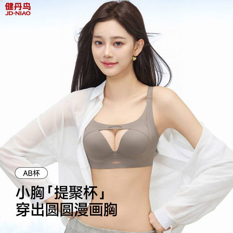 健丹鸟无钢圈性感甜美女士内衣小胸聚拢显大上托防下垂提拉文胸罩