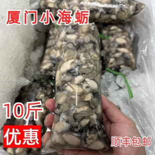 10斤厦门小海蛎肉精挑小海蛎现剥牡蛎肉小生蚝餐厅用海蛎煎蚵仔煎