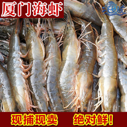 厦门海鲜活冻大海虾一斤急冻海捕大虾青虾明虾对虾活冻