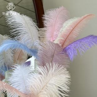 饰摆件 婚庆拍摄道具花艺花束装 薇艺ins超仙羽毛 南非进口鸵鸟毛