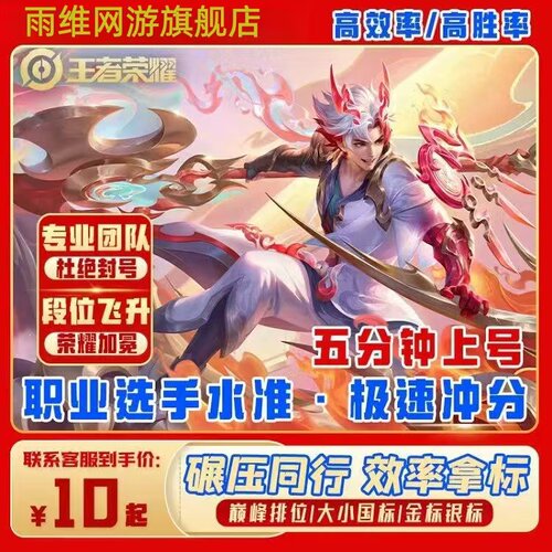 王者荣耀代打代练上分速刷战力巅峰排位大小国标