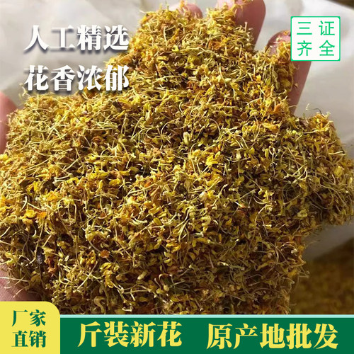 桂花桂林泡酒香料浓香桂花干