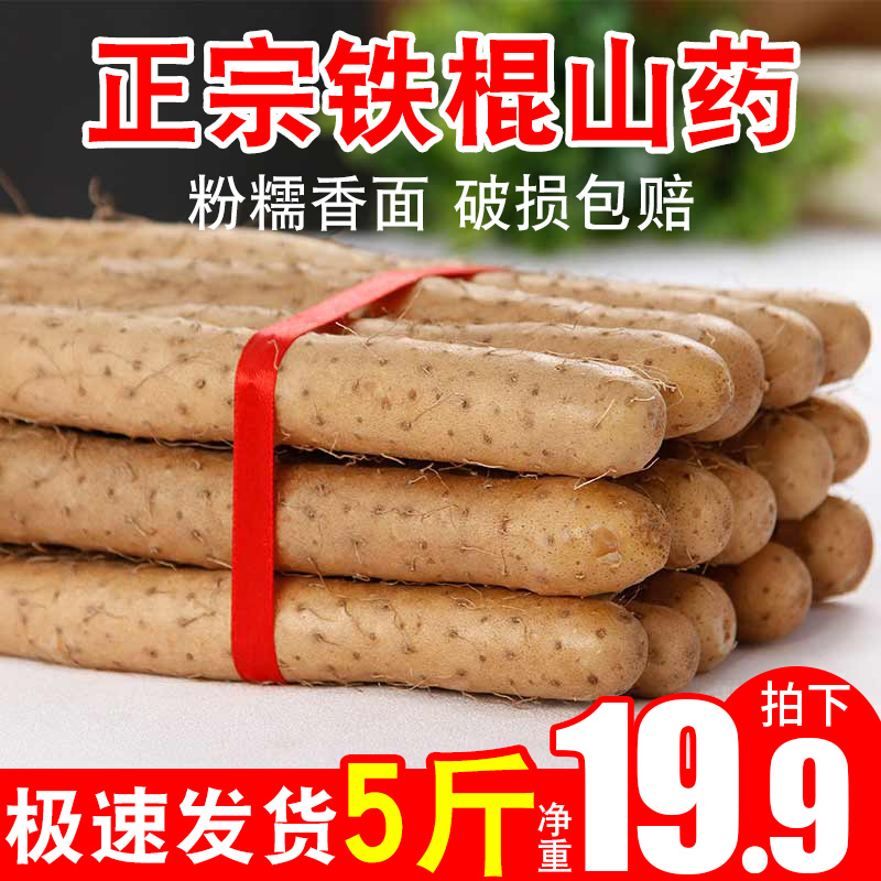新鲜铁棍山药5斤装当季蔬菜小白嘴垆土紫色淮山药麻山药片包邮