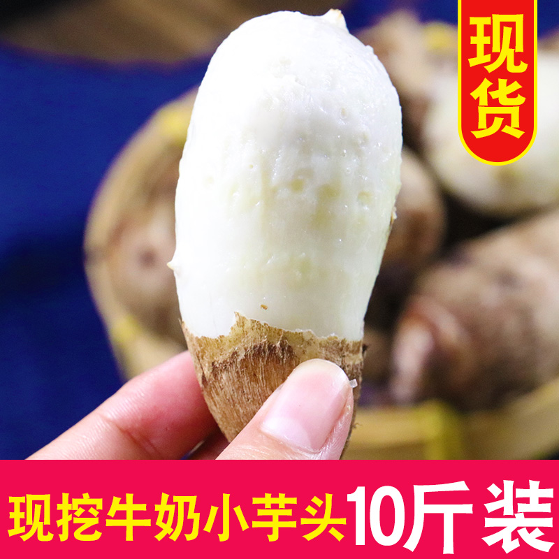 新鲜芋头10斤芋艿小芋头香芋免邮包邮农家粉糯荔浦毛芋头整箱紫