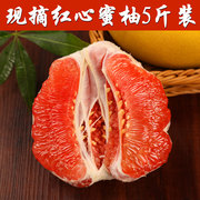 券后17.8元包邮