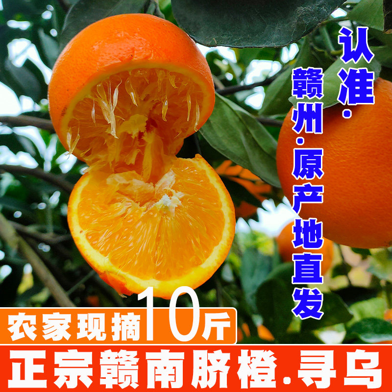 江西正宗赣南脐橙10斤寻乌甜橙子孕妇当季新鲜水果赣州手剥橙包邮,水产肉类/新鲜蔬果/熟食,橙,淘宝优惠券,粉丝福利购,淘宝优惠卷