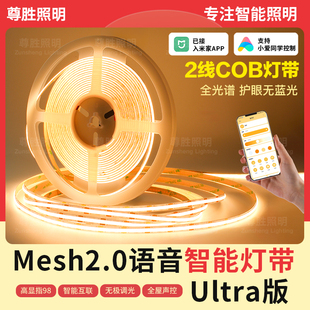 已接入米家智能cob灯带语音无极调光客厅悬浮双眼皮线形灯双色温