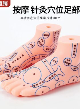 足部按摩模型人体穴位图脚丫足底反射区脚底经络足疗工具家用20cm