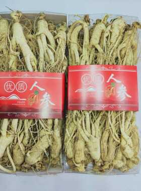 人参生晒白参短体20支500克残品长白山吉林抚松万良新品丑参根须