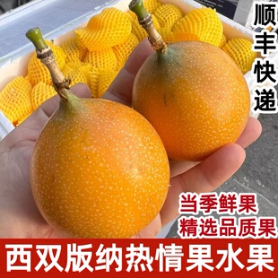 时令新鲜孕妇水果香甜多汁精选大果 热情果黄金果百香果当季