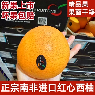正宗南非进口红心西柚葡萄柚当季时令新鲜柚补充叶酸孕妇水果包邮