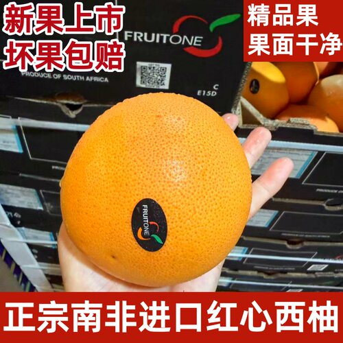 正宗南非进口红心西柚葡萄柚当季时令新鲜柚补充叶酸孕妇水果包邮