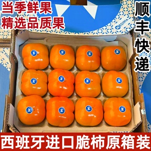 西班牙进口脆柿当季时令新鲜水果富有甜脆柿糖心柿不涩口顺丰