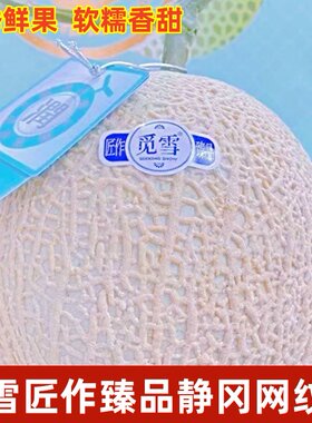 觅雪网纹瓜软糯香甜新鲜