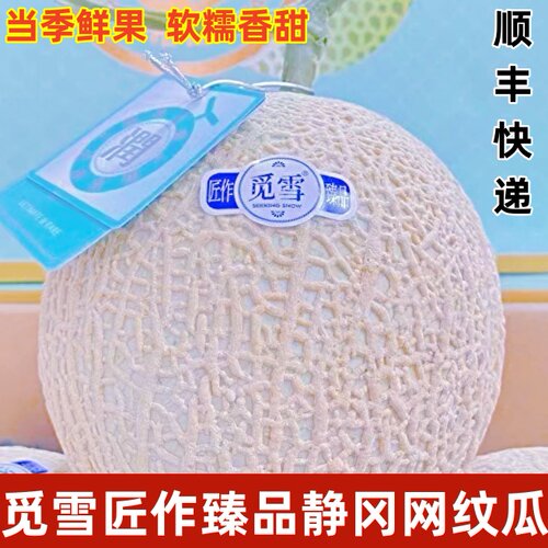 觅雪网纹瓜软糯香甜新鲜