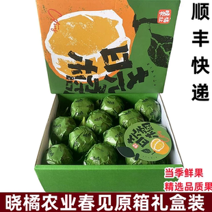 晓橘春见粑粑柑原箱礼盒8斤静冈种源新鲜水果纯甜18度橘子精选