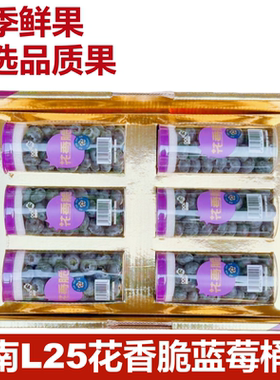 云南L25花香脆蓝莓鲜果精选桶装20mm+大果时令新鲜水果顺丰快递