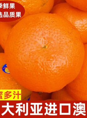 澳大利亚澳橘0-8度澳柑