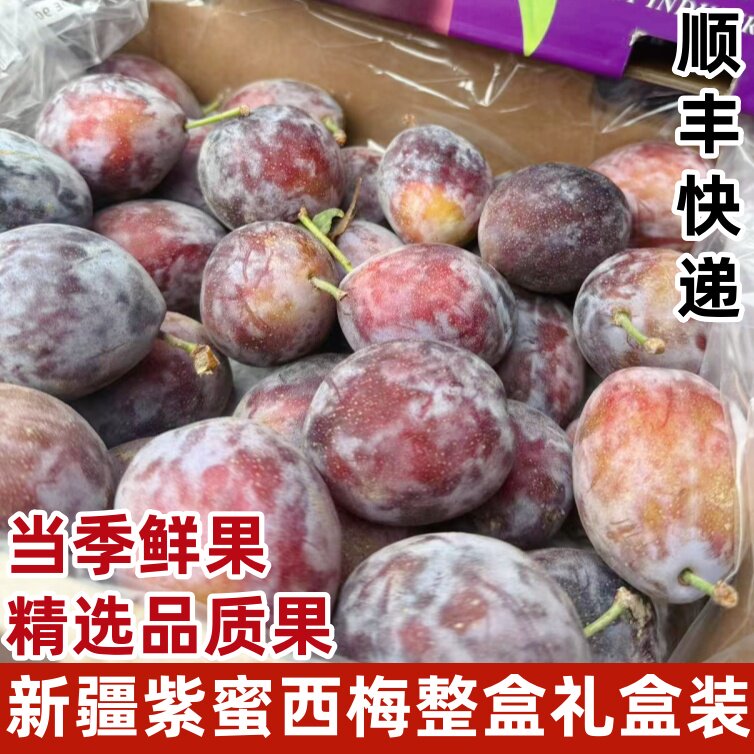 新疆紫蜜西梅当季新鲜水果孕妇进口李子西梅甜蜜当季时令水果