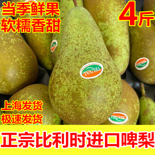 顺丰进口比利时青啤梨当季新鲜水果孕妇宝宝辅食软糯香甜精选果