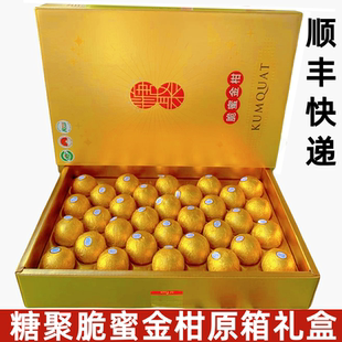 糖聚脆蜜金柑甜蜜多汁3斤礼盒当季时令新鲜水果黄皮脆甜大果