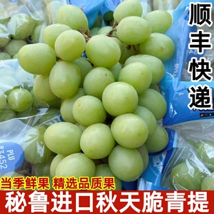 秘鲁进口秋天脆青提无籽提当季时令新鲜水果提子2斤装顺丰快递