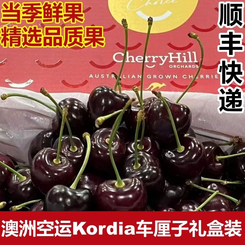 澳洲科迪亚KORDIA车厘子进口大樱桃黑车新鲜水果顺丰(包装随机),水产肉类/新鲜蔬果/熟食,车厘子/樱桃,淘宝优惠券,粉丝福利购,淘宝优惠卷